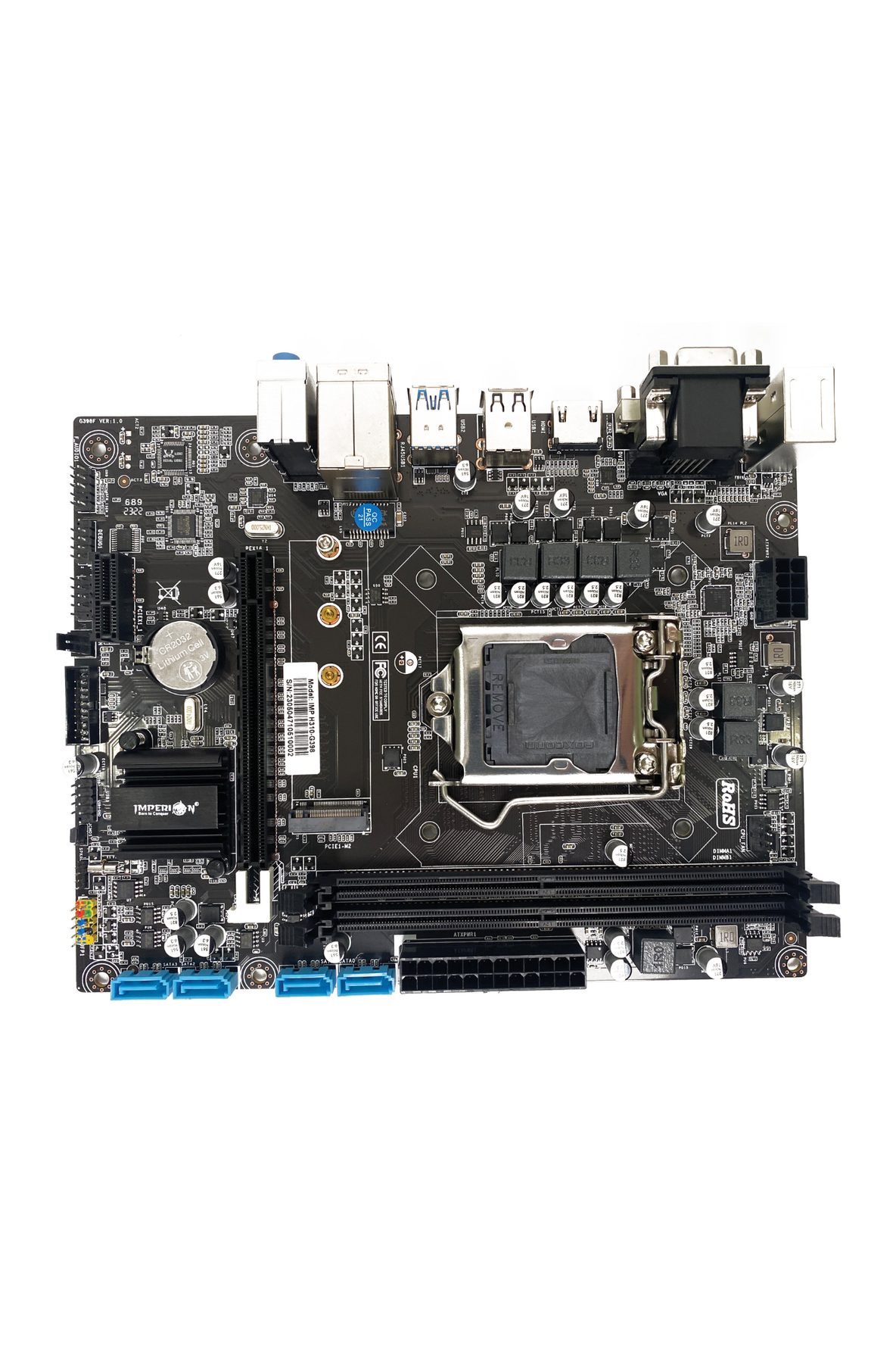IMP-GMX3(H310-G398)