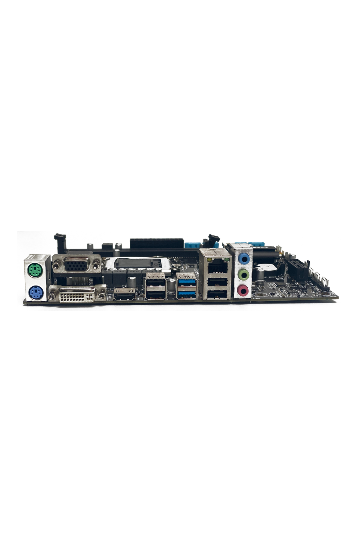 IMP-GMX3(H310-G398)