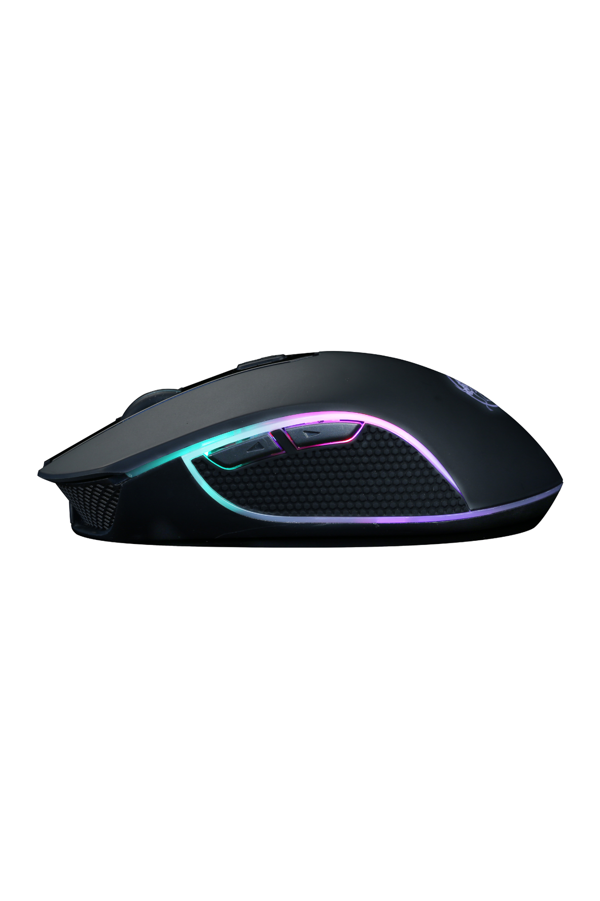 Salpido W505 TELEPORT - Salpido