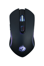 Salpido W505 TELEPORT - Salpido